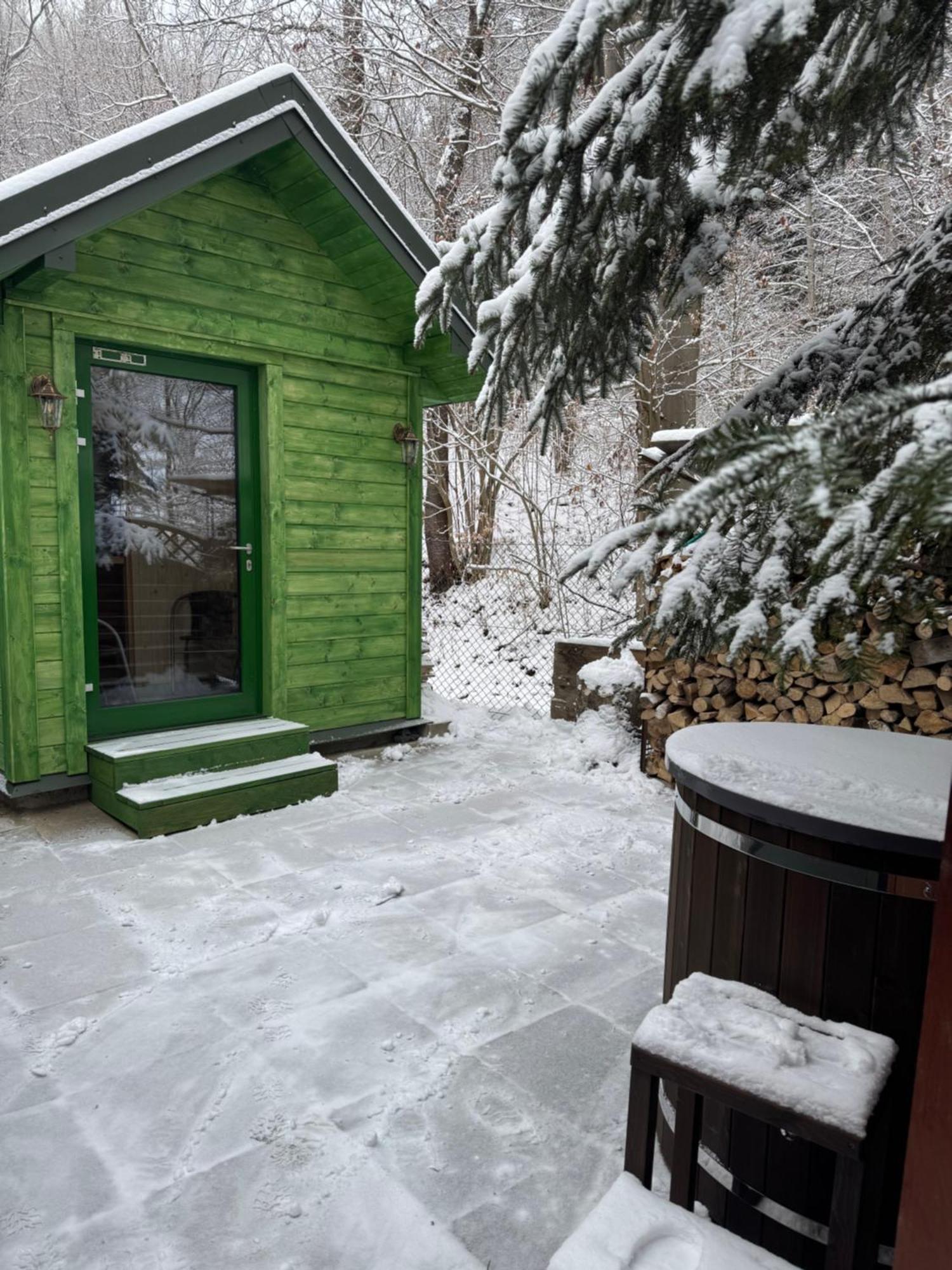 Villa Bukowy Zdrój Krynica-Zdrój Exterior foto
